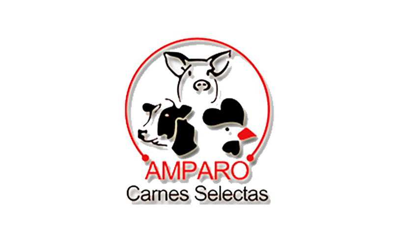 Mejora del Logo Amparo Carnes Selectas